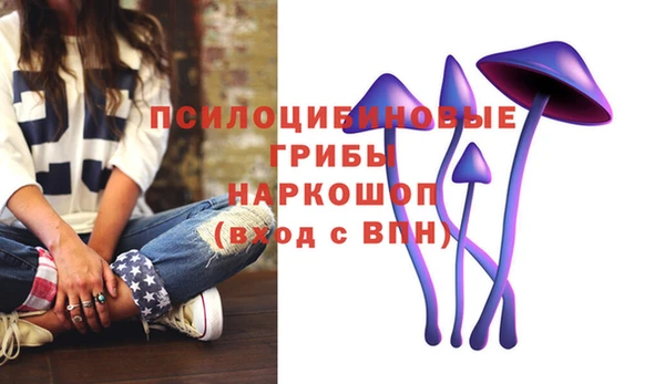 хмурый Абаза