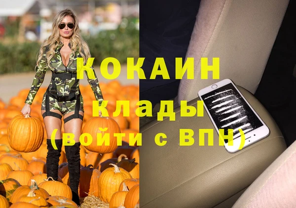 хмурый Абаза