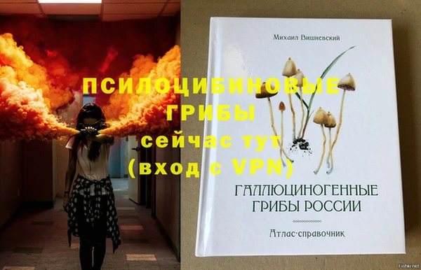хмурый Абаза