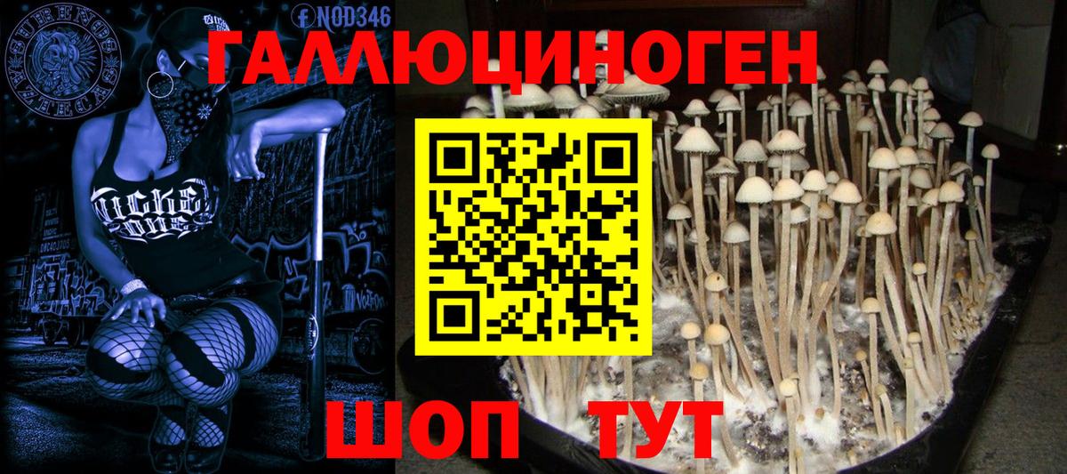 Галлюциногенные грибы Magic Shrooms Северодвинск