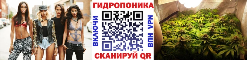 Бошки марихуана Bruce Banner Северодвинск